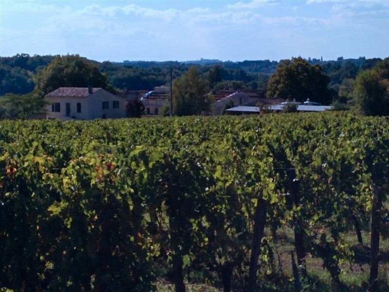 Clos Vieux Rochers Vineyard 퓨이스게인 외부 사진