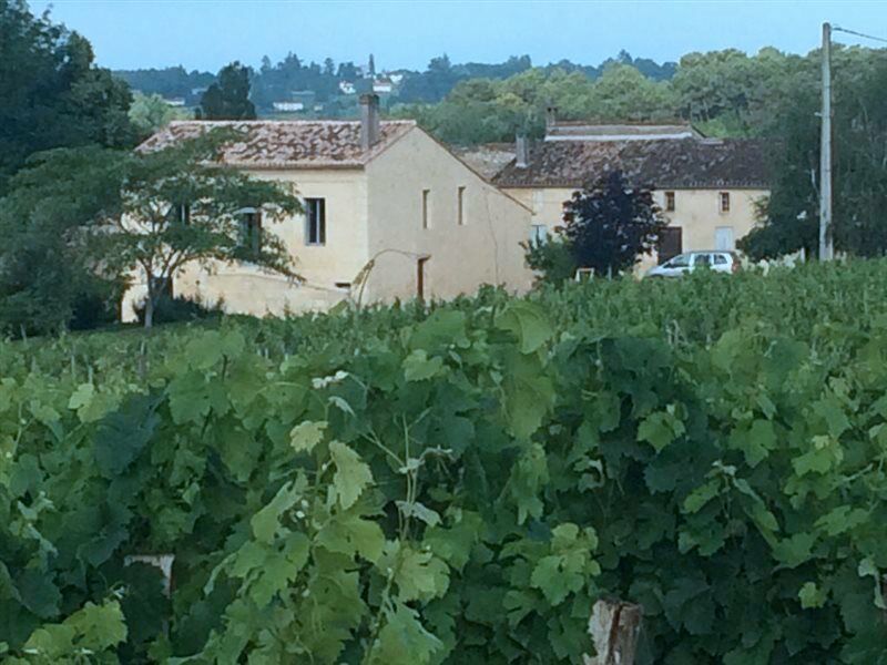 Clos Vieux Rochers Vineyard 퓨이스게인 외부 사진